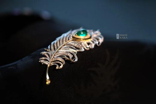 人生的吉光片羽 商品图6