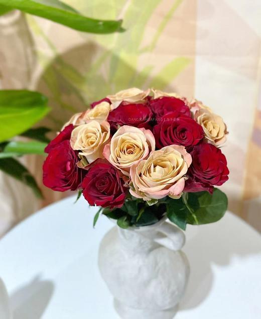 【只有20份.超值】高原红玫瑰10支+卡布奇诺玫瑰10支/份  长约55-60cm 商品图6