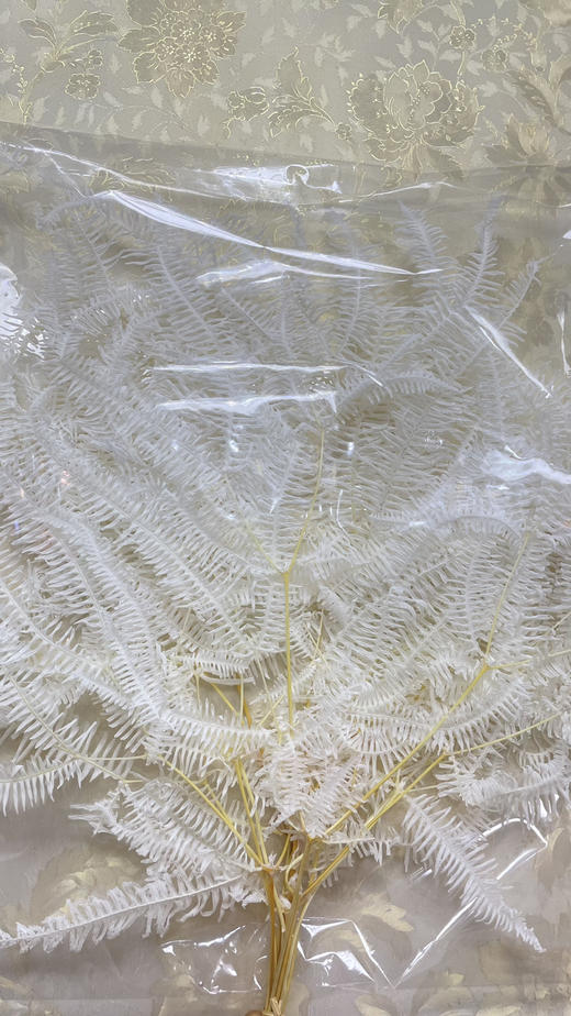 【干花】龙爪草 白色 约 10枝/扎 商品图4