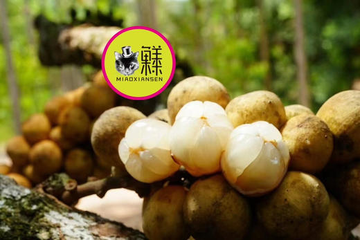 【礼盒】泰国龙宫果2kg装 商品图9