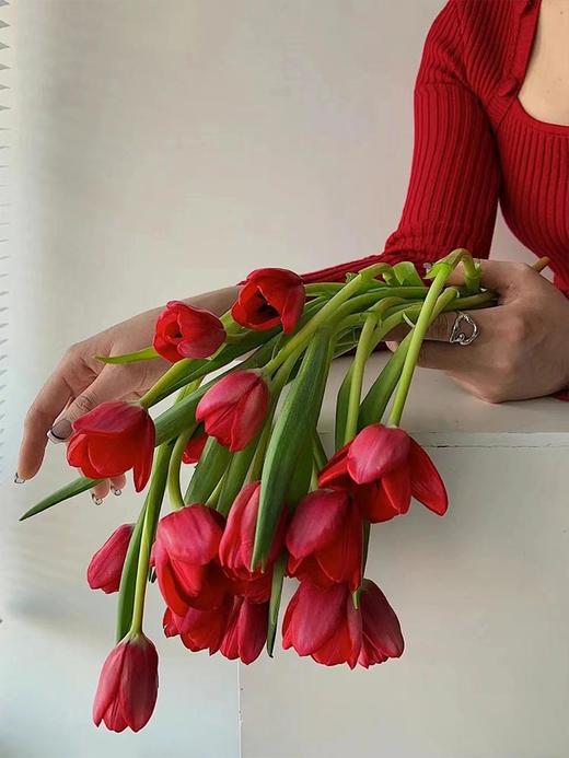 方德挚爱郁金香鲜切花9支 商品图3