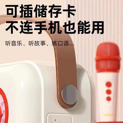 GZK 弥鹿mideerMD6411四合一多功能麦克风-糖果粉 商品图2