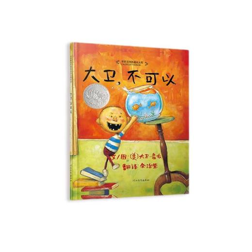 大卫,不可以 商品图0