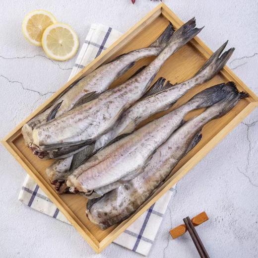 单冻鳕鱼3斤 商品图1