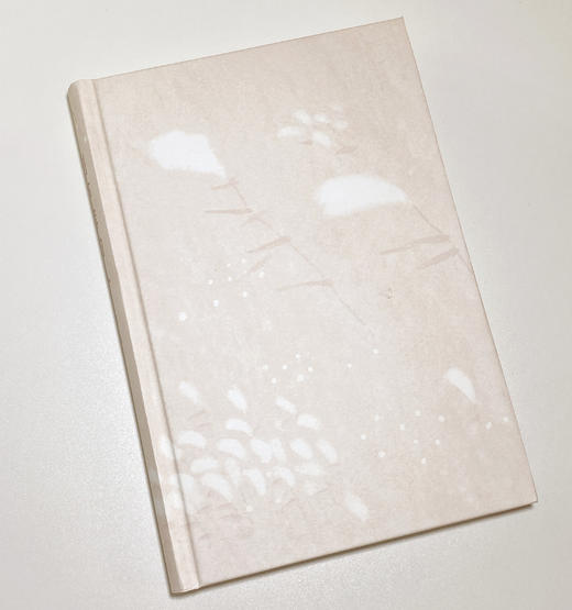 【毛边签名本】割芦苇的人 昨非著 商品图5