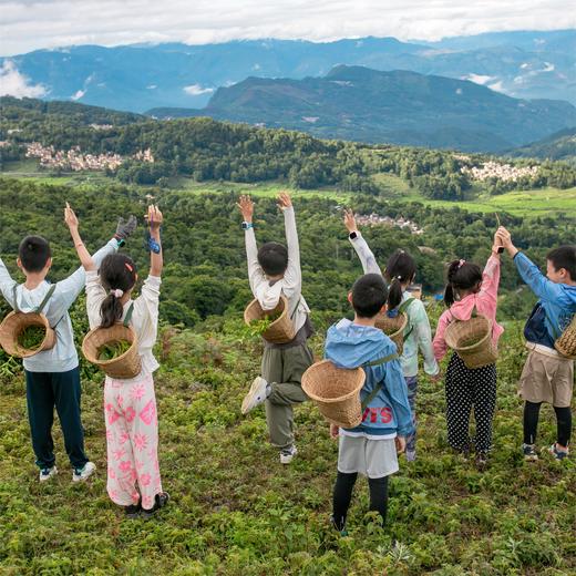 云南十八怪，杂糅的元阳哈尼梯田与建水汉家文庙【红河谷】7天6晚 商品图8
