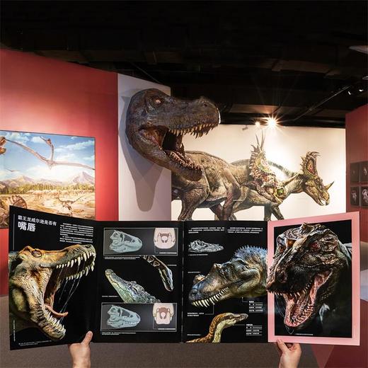 PNSO恐龙博物馆-霸王龙威尔逊的秘密 商品图2