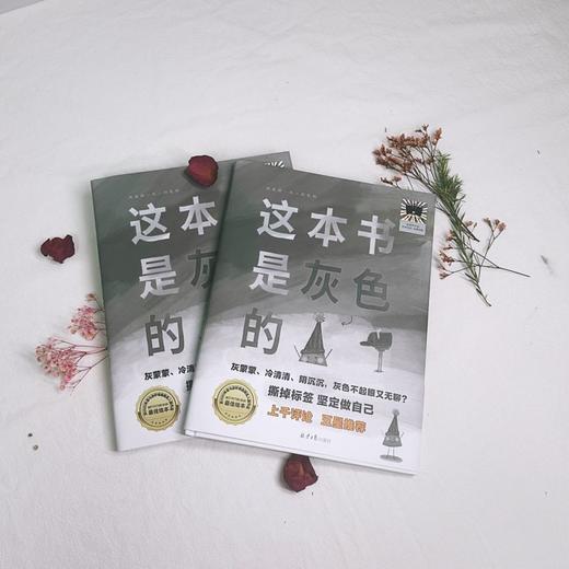 这本书是灰色的     二年级共读书正版现货速发|名师推荐|小学生课外阅读2年级课外读物 商品图3