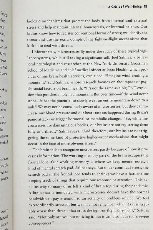 【中商原版】微应力效应 应对拖延症 小事情如何堆积并造成大问题 Microstress Effect 英文原版 Rob Cross 商品图7