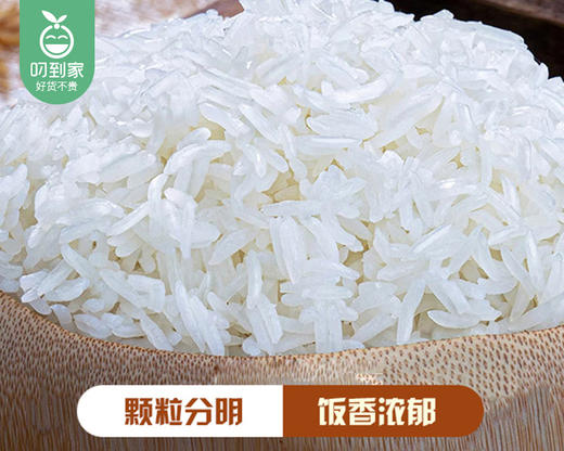 煮饭仔·霸稻香泰香米（5kg/包）生产日期: 1月 商品图1