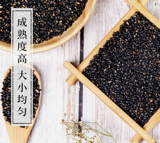 瑞昌有机生熟黑芝麻粒 干净免洗真空包装350g 商品图3