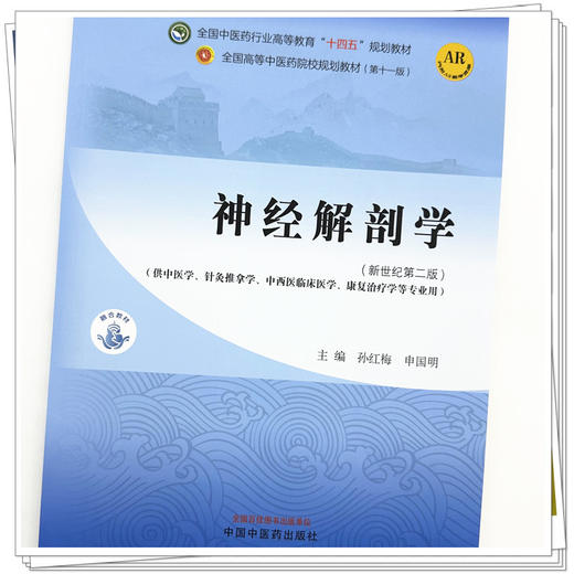 神经解剖学 孙红梅 申国明 主编 新世纪第二2版 中国中医药出版社 全国中医药行业高等教育第十一版十四五教材 商品图2