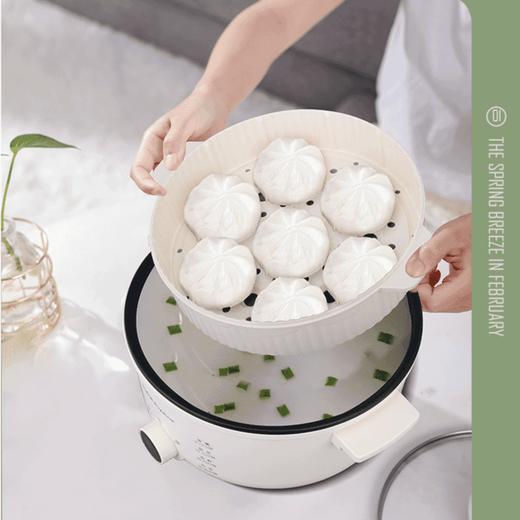 荣事达多功能电蒸锅 商品图1