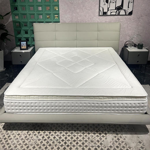 赛斯床垫独立袋单+大豆纤维棉+远红外线树脂棉+生物记忆棉+进口针织面布[免费送装，偏远地区除外] 商品图0