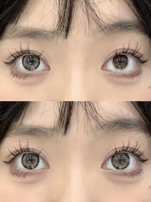【大直径】Ealla girl- 可可泰迪-14.5mm【年抛 度数0-800度 无525/575】 商品图9