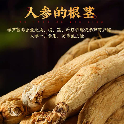 长白山参人参泡茶煲汤泡酒 商品图0