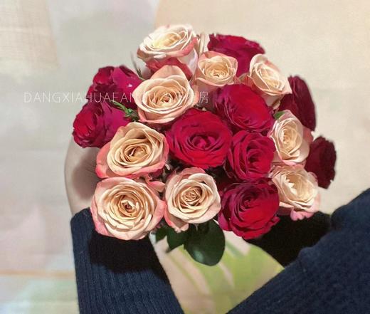 【只有20份.超值】高原红玫瑰10支+卡布奇诺玫瑰10支/份  长约55-60cm 商品图3