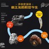 PNSO恐龙博物馆-霸王龙威尔逊的秘密 商品缩略图5