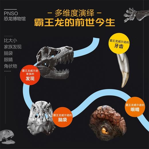 PNSO恐龙博物馆-霸王龙威尔逊的秘密 商品图5