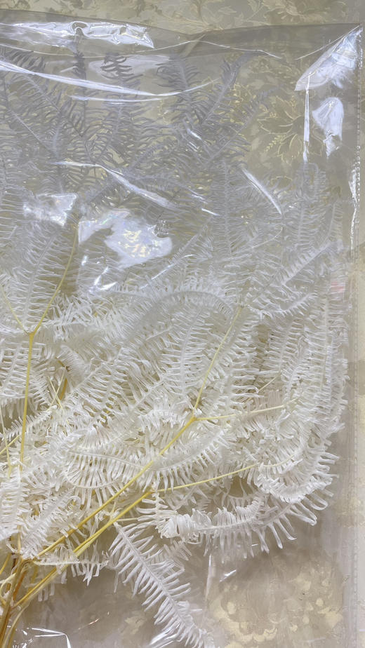 【干花】龙爪草 白色 约 10枝/扎 商品图3