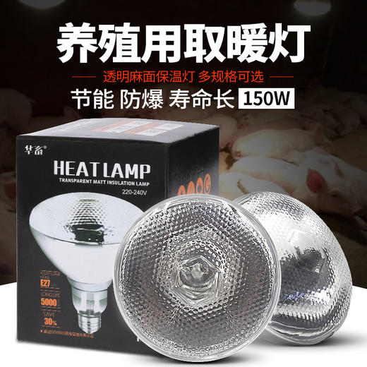 养殖保温灯 加热快 喷水不爆 可调温度 加热取暖灯 小鸡仔猪育雏保温灯 商品图0