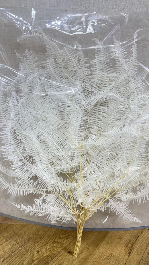 【干花】龙爪草 白色 约 10枝/扎 商品图1