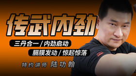 【传武内劲】——传武必经之路