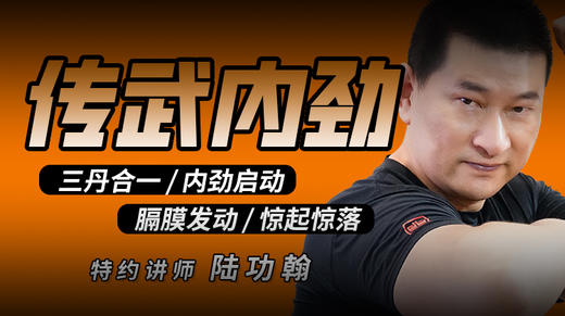【传武内劲】——传武必经之路 商品图0