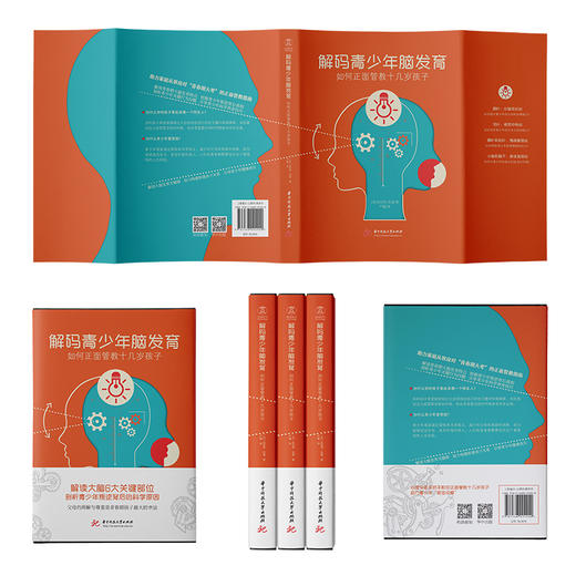 解码青少年脑发育：如何正面管教十几岁孩子（解读大脑6大关键部位，剖析青少年叛逆背后的科学原因）  9787568094900  华中科技大学出版社 商品图2