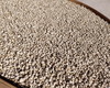 雪山野生贝母 商品缩略图2