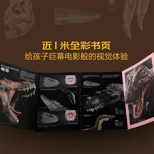PNSO恐龙博物馆-霸王龙威尔逊的秘密 商品图3