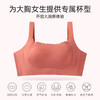 显小软支撑 舒适有型 穿衣百搭暮光倾城提拉文胸 商品缩略图3