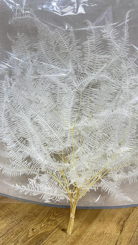 【干花】龙爪草 白色 约 10枝/扎