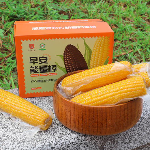 【山西好物】金糯玉米  220g*8根 商品图4