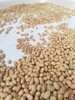 【生态】老品种黄豆（500g） 商品缩略图0