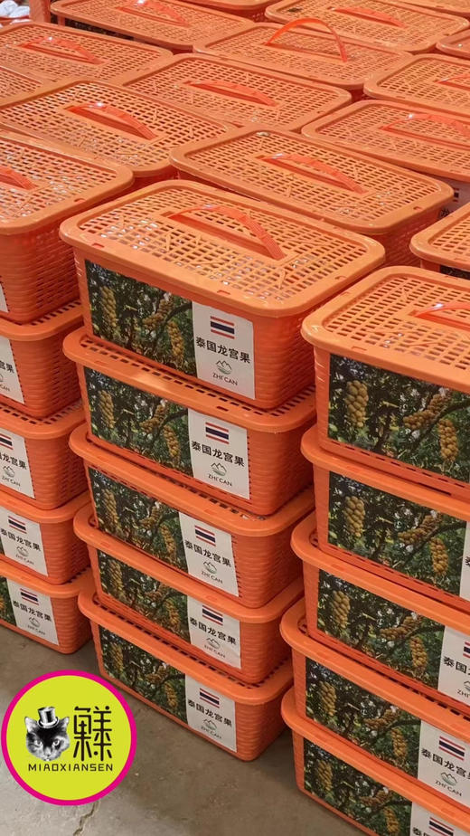【礼盒】泰国龙宫果2kg装 商品图11