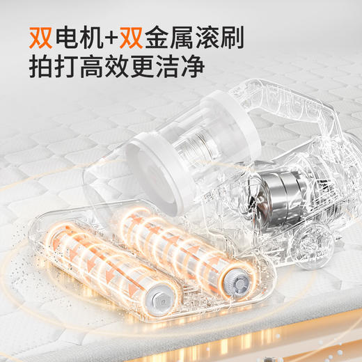 【冯站长专属】贝昂双滚刷除螨仪 商品图3