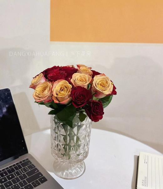 【只有20份.超值】高原红玫瑰10支+卡布奇诺玫瑰10支/份  长约55-60cm 商品图12