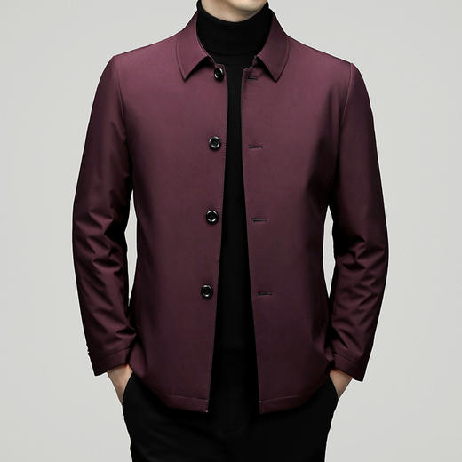 【新款DXS】大依优型大码羽绒服纽扣翻领经典加肥加上衣外套商务休闲男士老干部风肥佬胖子 商品图2