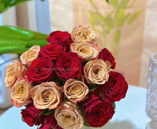 【只有20份.超值】高原红玫瑰10支+卡布奇诺玫瑰10支/份  长约55-60cm 商品图4