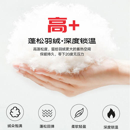 【新款DZP】大依优型大码三合一羽绒服两件套外套可脱卸帽羽绒服男宽松加肥加大码上衣白鸭绒 商品图3