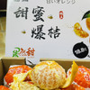 涌泉蜜桔 商品缩略图6