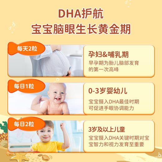 【品牌直供】法国艾瑞可DHA【0岁+】60粒 商品图4