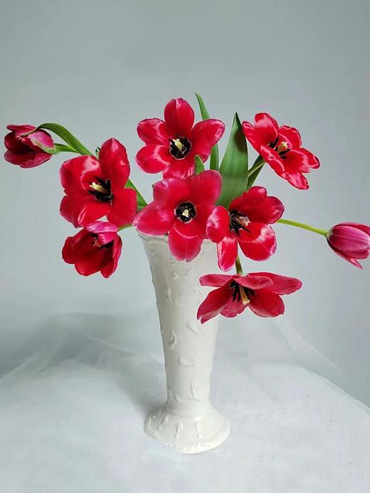 方德挚爱郁金香鲜切花9支 商品图0