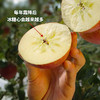 【云南昭通糖心丑苹果】不套袋·不打蜡·不催熟·红彤彤带天然晒斑的糖心苹果！现摘现发！ 商品缩略图4