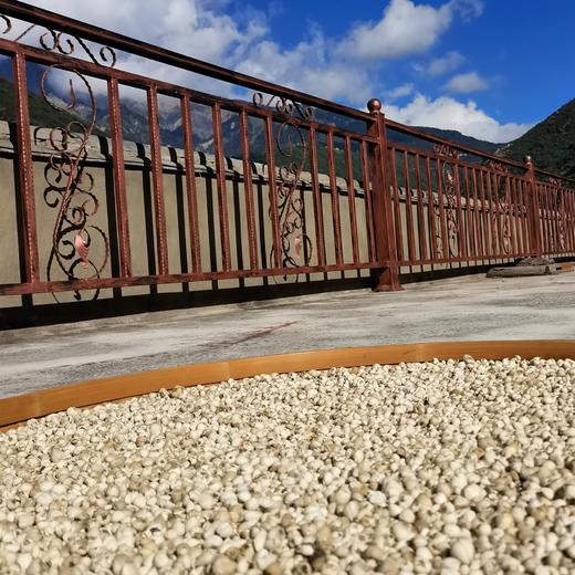 雪山野生贝母 商品图1