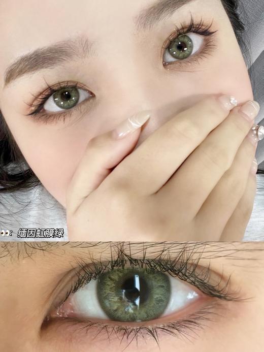 Leenscolor年抛系列缅因虹膜绿美瞳 | 直径14.0着色直径13.3 | 韩国产 商品图3