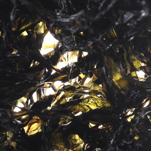 杞冠严选 | 福建 紫菜礼盒 闽南深海头水紫菜真空装 250g/盒（125g*2） 无色素无添加 细脆嫩滑 无沙免洗 商品图4