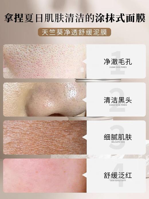 天竺葵净透舒缓泥膜 105g  冬姐推荐  草本护肤 商品图3