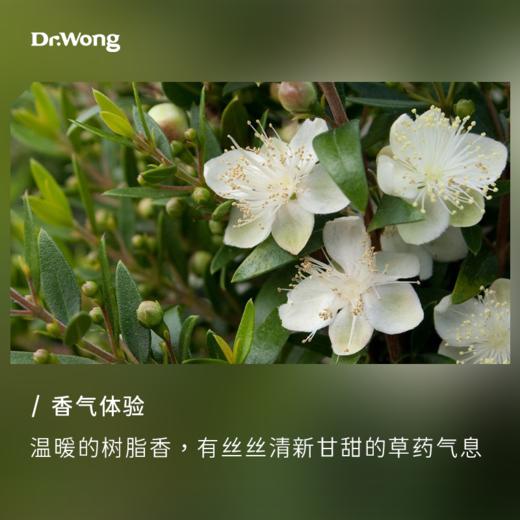 红香桃木 单方精油 商品图1